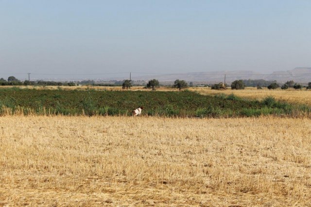 Αγωνες Α.Κ.Ι 11/6/2017